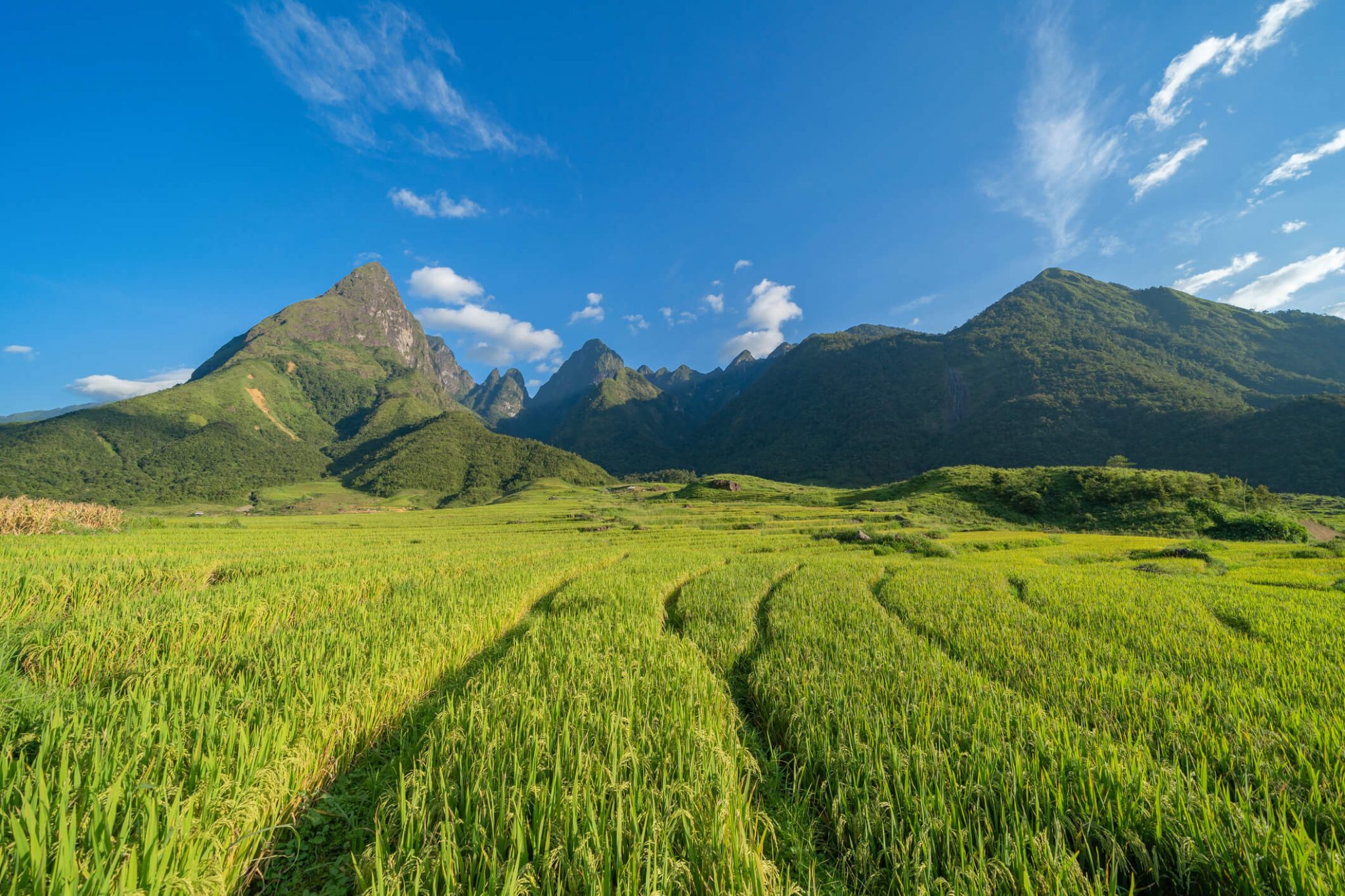 Indlæg #1 – Overskrift her